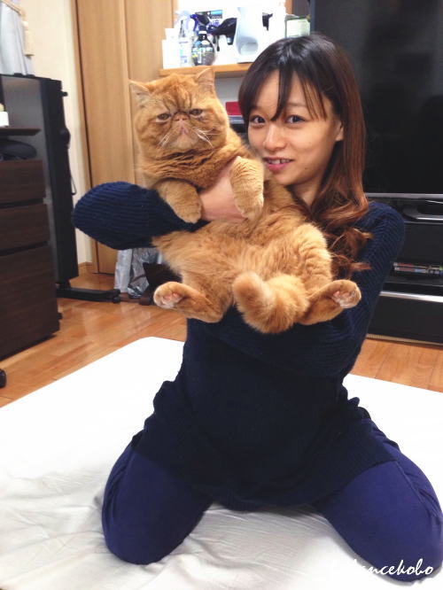 �z���C�g�{�[�h���R�~�̌��k