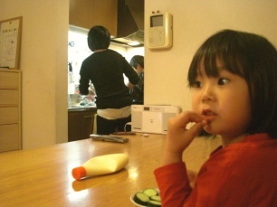 �Y��̍��Ջ��� �̌��k���R�~ �j�x�l