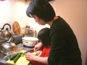 �Y��̍��Ջ��� �̌��k���R�~ �j�x�l�Q