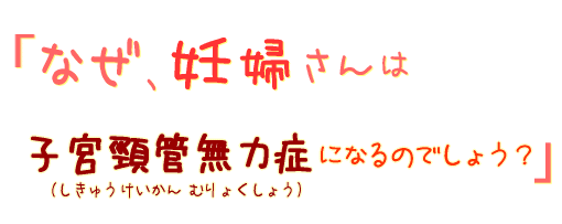 なぜ、妊婦さんは子宮頸管無力症(しきゅうけいかんむりょくしょう)になるのでしょう?