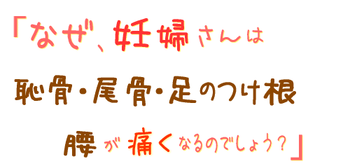 なぜ妊婦さんは恥骨 尾骨 足のつけ根 腰が痛くなるのでしょう?