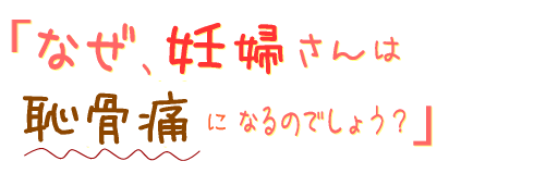 なぜ、妊婦さんは恥骨痛になるのでしょう?