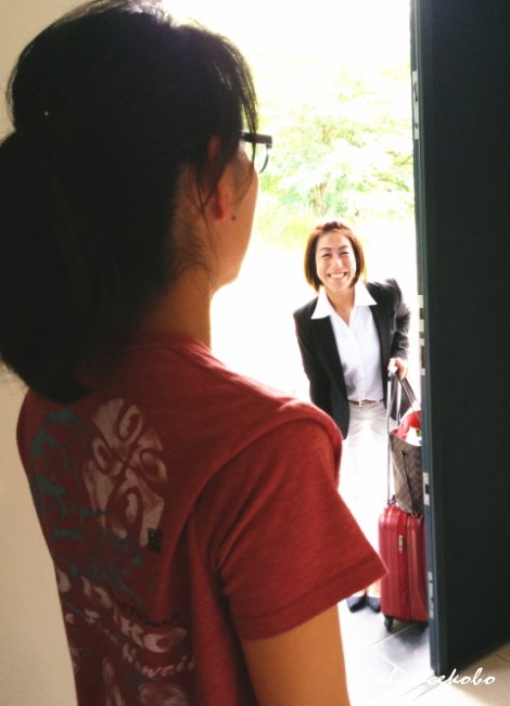 �o������ �o���}�b�T�[�W�̗��� ���֌��Q