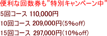 便利な回数券