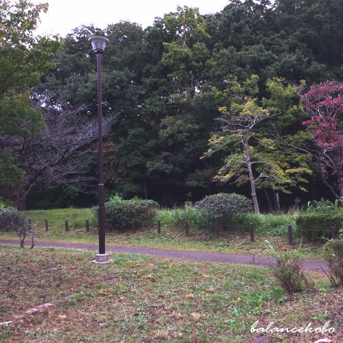 �����s �a�J�� �_�{�O�ցy�Ŋ��w�F�t��w���� �zjpg