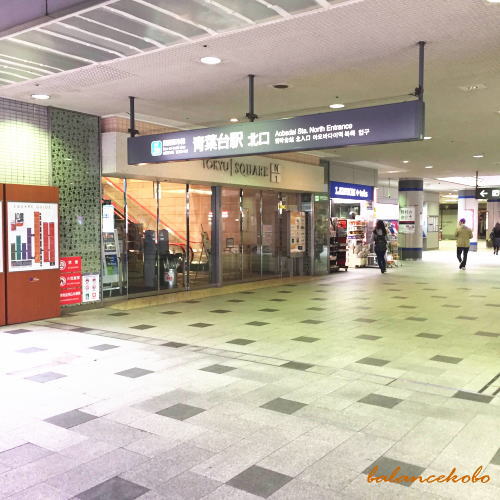 �����s �a�J�� �_�{�O�ցy�Ŋ��w�F�t��w �zjpg