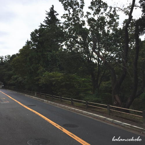 �����s �a�J�� �_�{�O�ցy�Ŋ��w�F�O���O�w�܂��͕\�Q���w�zjpg