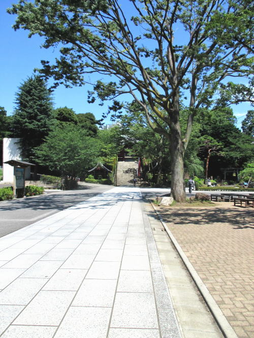 �����s ������ �ڔ���ցy�Ŋ��w�F�썑���w�܂��͎G�i���J�w�zjpg