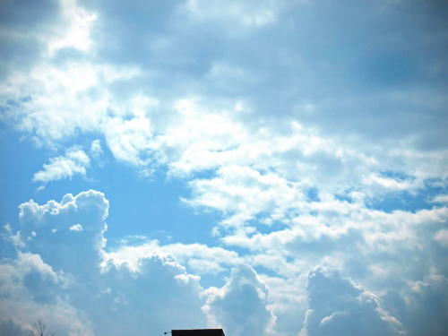 �_�ސ쌧 ���l�s �˒ˋ�ցy�Ŋ��w�F���˒ˉw�zjpg