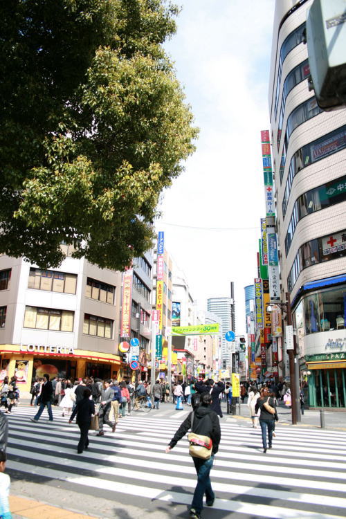 東京都 豊島区 池袋駅周辺