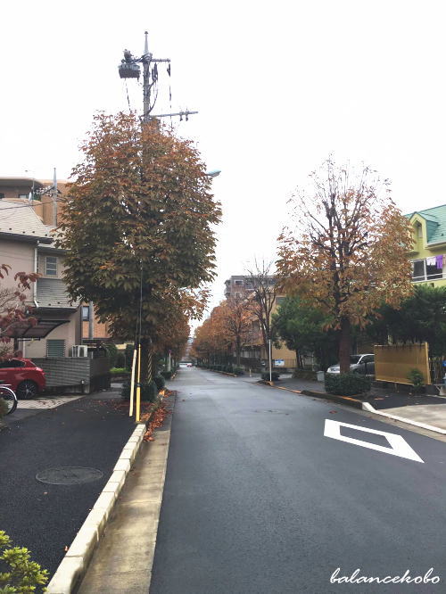 東京都 稲城市 東長沼へ【最寄り駅:稲城駅】jpg