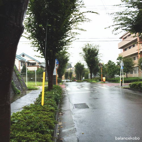 神奈川県 川崎市 麻生区界隈jpg