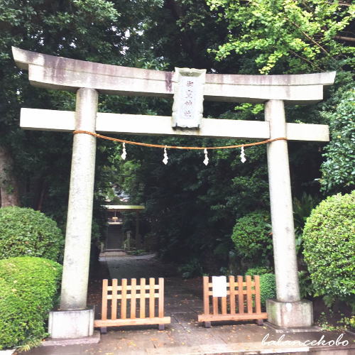 �_�ސ쌧 ���l�s ��� ���c�k���ӂցy�Ŋ��w�F���c�w�zjpg