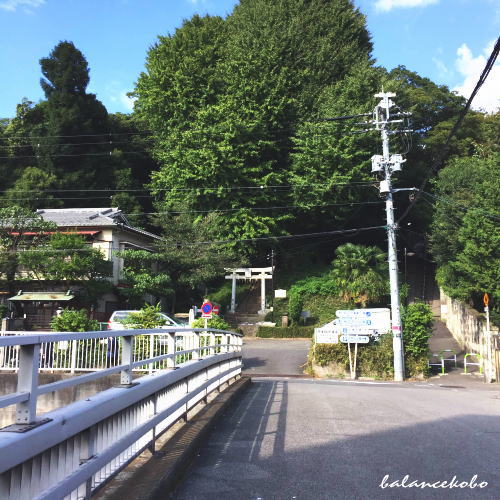 �����s �V�h�� ������c�ցy�Ŋ��w�F�c���w�z����jpg