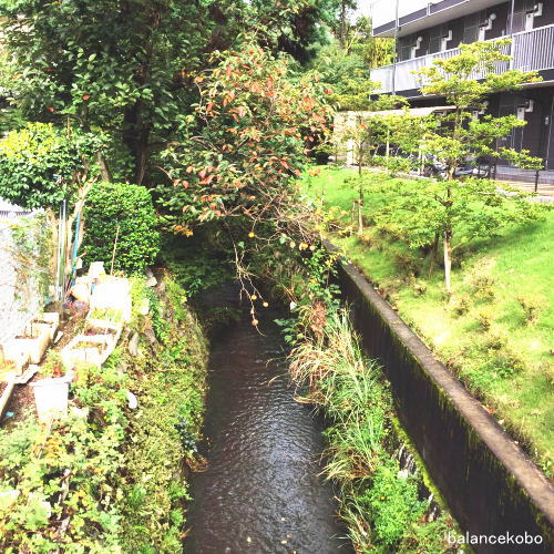 神奈川県 川崎市 多摩区 読売ランド前駅周辺jpg