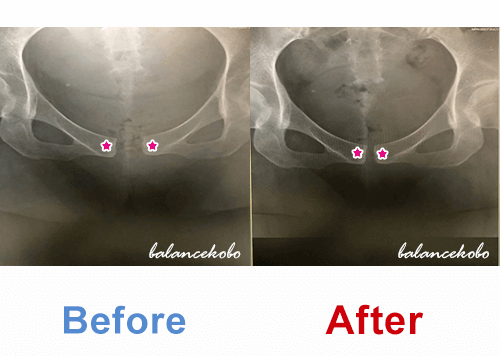 ���Ճ����g�Q���ʐ^